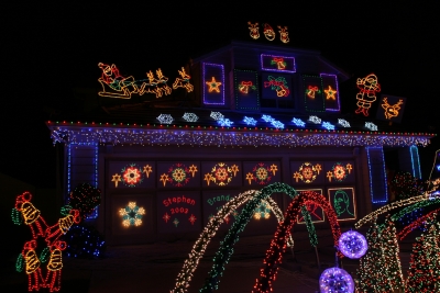 2008 Display - LED Action