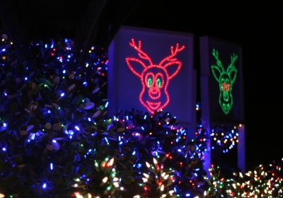 2008 Display - North Singing Reindeer
