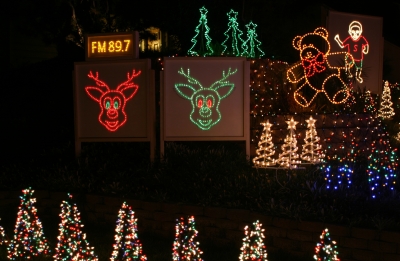 2008 Display - South Singing Reindeer