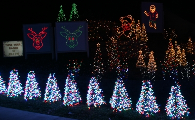 Trees And Reindeer