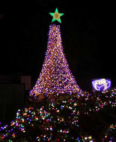 Spiral Tree