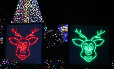 Singing Reindeer