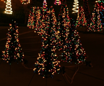 Mini Trees in Action