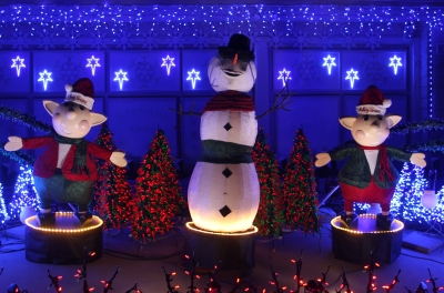 Animated Snowman Project