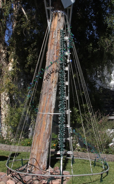 Spiral Tree Under Construction