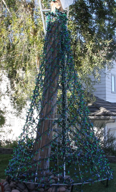 Spiral Tree Under Construction