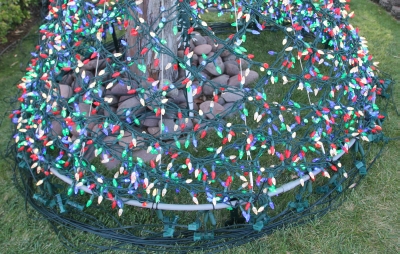Lights On Test
